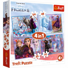 Puzzle carton 4in1 Frozen2,+4 ani