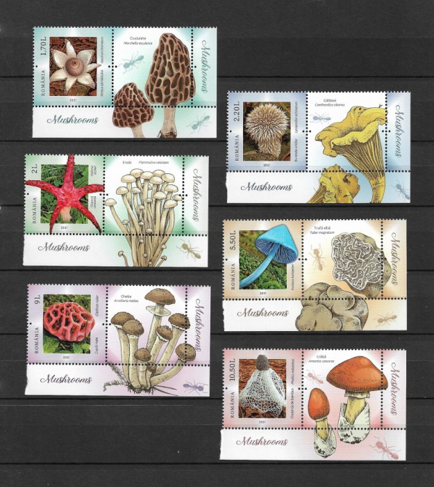 ROMANIA 2021 - CIUPERCI, MNH, VINIETA 1 - LP 2323