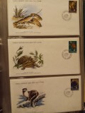 FAUNA WWF - 3 PLICURI PRIMA ZI