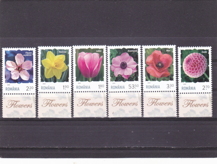 ROMANIA 2020 - FLORI,SERIE COMPLETA CU TABS, MNH - LP 2267