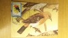C12 - maxima Romania - tematica pasari 14 - prima zi a emisiunii sau expozitii, Romania de la 1950, Fauna