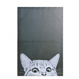 Tablou din panza cu pisica 90 cm