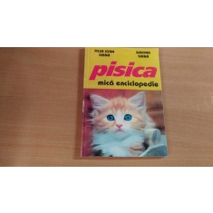 PISICA-MICA ENCICLOPEDIE-FILEA IVANA-SIMONA IVANA