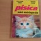 PISICA-MICA ENCICLOPEDIE-FILEA IVANA-SIMONA IVANA
