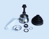 Set Articulatie Planetara 50581 NGH 06.02.006