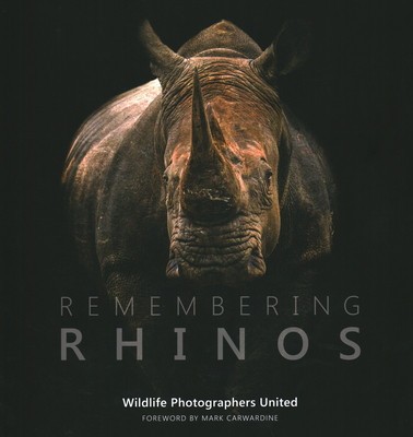 Remembering Rhinos foto