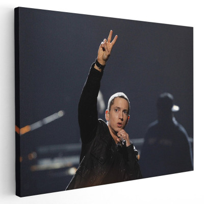 Tablou afis Eminem cantaret 2282 Tablou canvas pe panza CU RAMA 20x30 cm foto