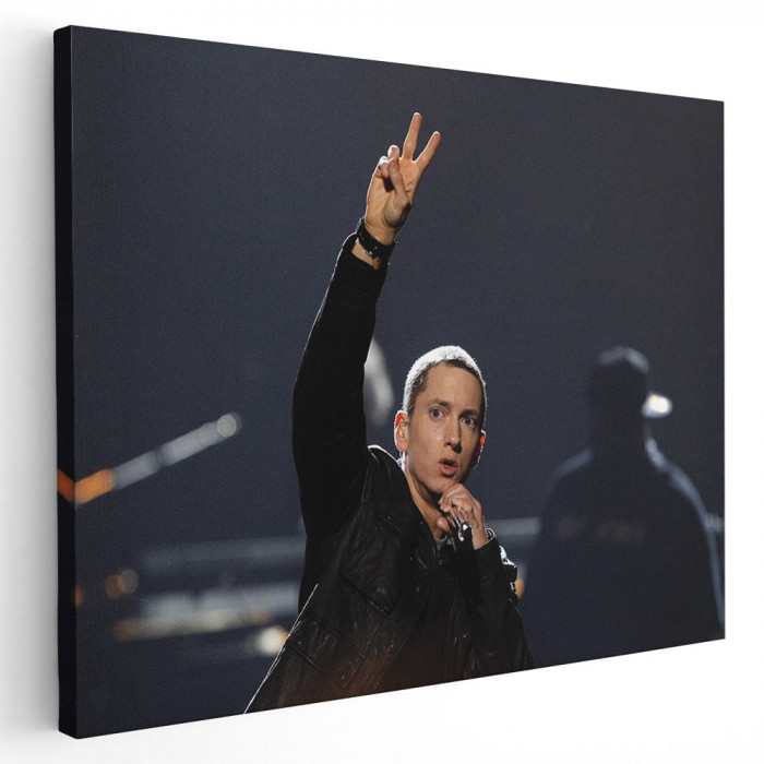 Tablou afis Eminem cantaret 2282 Tablou canvas pe panza CU RAMA 60x90 cm
