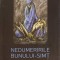 NEDUMERIRILE BUNULUI-SIMT-TEOFIL LUNG-246490