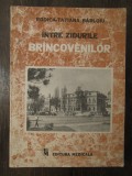 INTRE ZIDURILE BRANCOVENILOR-RODICA TATIANA BARLOIU
