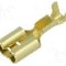Terminal tip plat, pentru surub {{Orificiu pentru &amp;#351;urub}}, BM GROUP - BM 02190