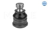 Pivot brat suspensie Nissan Interstar, Interstar Sasiu; Opel Movano A, Movano A Sasiu; Renault Master II, Master II Sasiu Motor 1.9 dCi 80, 1.9 dTI,