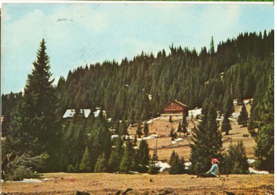 CPIB 16559 CARTE POSTALA - IN VALEA IALOMITEI LA PADINA foto