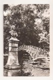 RF123 - Carte Postala - Botosani. Parcul M. Eminescu, circulata 1969
