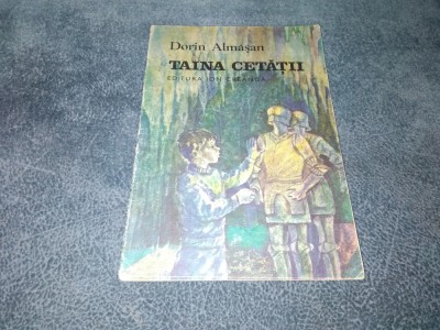 DORIN ALMASAN - TAINA CETATII foto