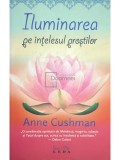 Anne Cushman - Iluminarea pe intelesul prostilor (Editia: 2009)