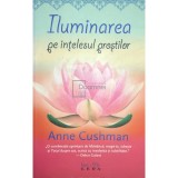 Anne Cushman - Iluminarea pe intelesul prostilor (Editia: 2009)