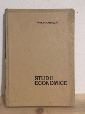 V. Malinschi - Studii Economice foto