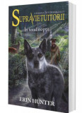In toiul noptii | Erin Hunter