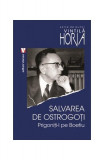 Salvarea de ostrogoţi. Prigoniţi-l pe Boeţiu - Paperback brosat - Horia Vintilă - Vremea, 2021