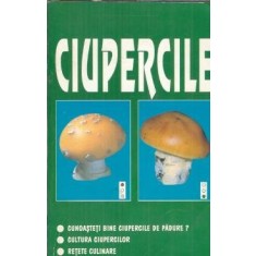 Ciupercile - P. Vlad