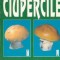 Ciupercile - P. Vlad