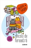 Dincolo de fereastra - Nicolina Halgas - Editura Siono