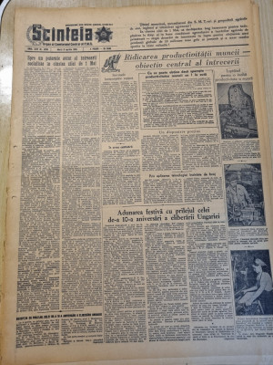 scanteia 5 aprilie 1955-art. orasul brasov,bacau,fotbal,regiunea arad,suceava foto