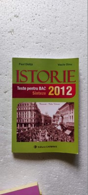 ISTORIE TESTE PENTRU BAC SINTEZE PAUL DIDITA , VASILE DINU foto