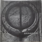 Brancusi. Album fotografic de Nicolae Sandulescu. Arta, Biografie, Monografie