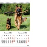 Calendar de Perete A3, Catei 2026