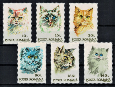 ROMANIA 1993 - Pisici / serie completa MNH foto