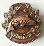 INSIGNA AGVPS PESTE SPRE DREAPTA TABLA AMBUTISATA VANATOARE PESCUIT AJVPS AVPS, Romania de la 1950