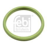 Febi Bilstein Etansare, pompa ulei