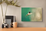 Tablou Canvas, "Colibri &icirc;n zborul dimineții aurii", Păsăre, Delicatețe, Viteză, Natură, Zbor, Aripi, Verde, Strălucire, Frumusețe, 39 x 26 cm, CMCLASS