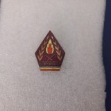 Insigna Pompier veteran
