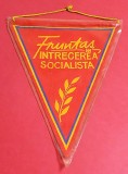 Fanion &quot;FRUNTAS in Intrecerea Socialista&quot;