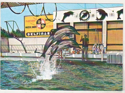 bnk cp Constanta - Delfinariu - necirculata foto