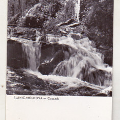 bnk cp Slanic Moldova - Cascada - uzata