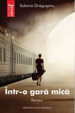 Intr-o gara mica | Sidonia Dragusanu, 2021, Hoffman