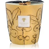 Baobab Collection Folia Garrigue lum&acirc;nare parfumată 16 cm