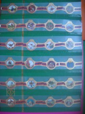 HOPCT LOT NR 23 - BARONUL VON MUNCHHAUSEN -24 BUC-ETICHETE VECHI DE TRABUCUR/ CIGARS LABELS I -COLECTIE DE LUX-LITHO