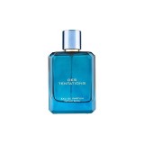 Fragrance World Des Tentations Apă de parfum pentru bărbați EDP 100 ml, French Avenue