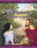 Drumul spre casa - Guojing