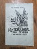 Monografie Santierul Naval Turnu Severin - Olaru Vasile / R3F, Alta editura