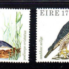 IRLANDA 1979, Fauna, Pasari, serie neuzata, MNH