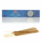 Cumpara ieftin Betisoare Parfumate Dreptunghi - Set 10 Buc - Celtic Way Of Life