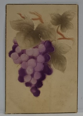 CIORCHINE DE STRUGURE , CARTE POSTALA EMBOSATA , POLICROMA , 1908 foto