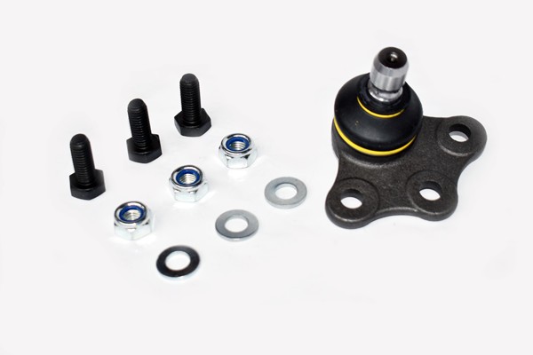 Pivot Suspensie 48353 FDR.695