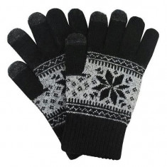 Manusi Touchscreen Universale - ApcGsm Winter Negru/Gri foto